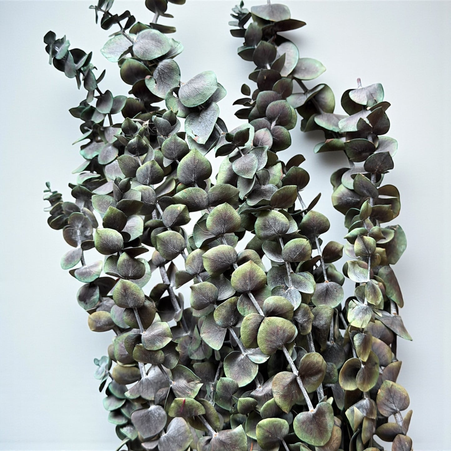 Anker Trockenblumen Seil | Personalisiert