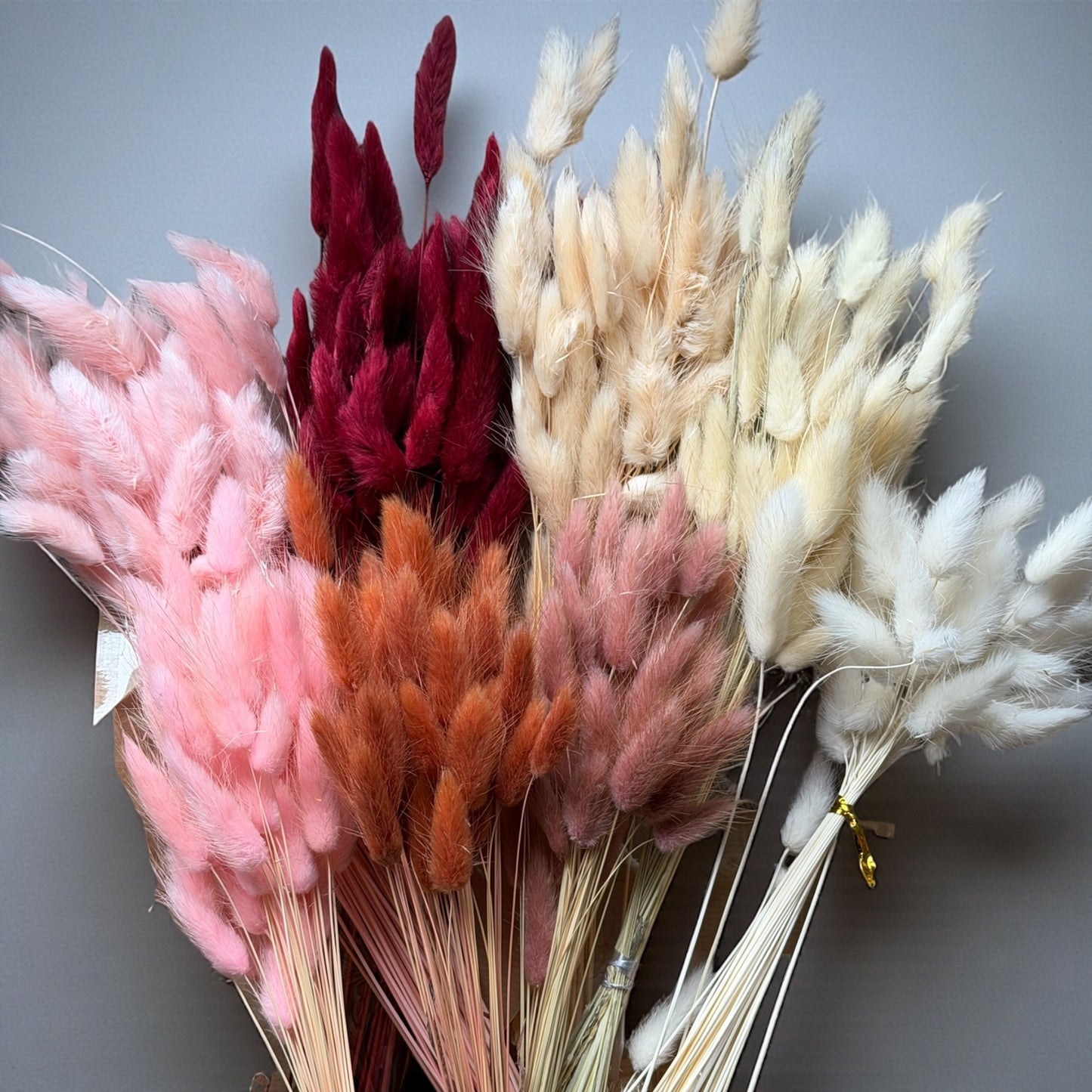 Anker Trockenblumen Seil | Personalisiert