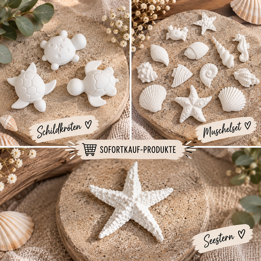Sofortkauf Muschel Set | Schildkröte | Seestern | Maritime Deko |
